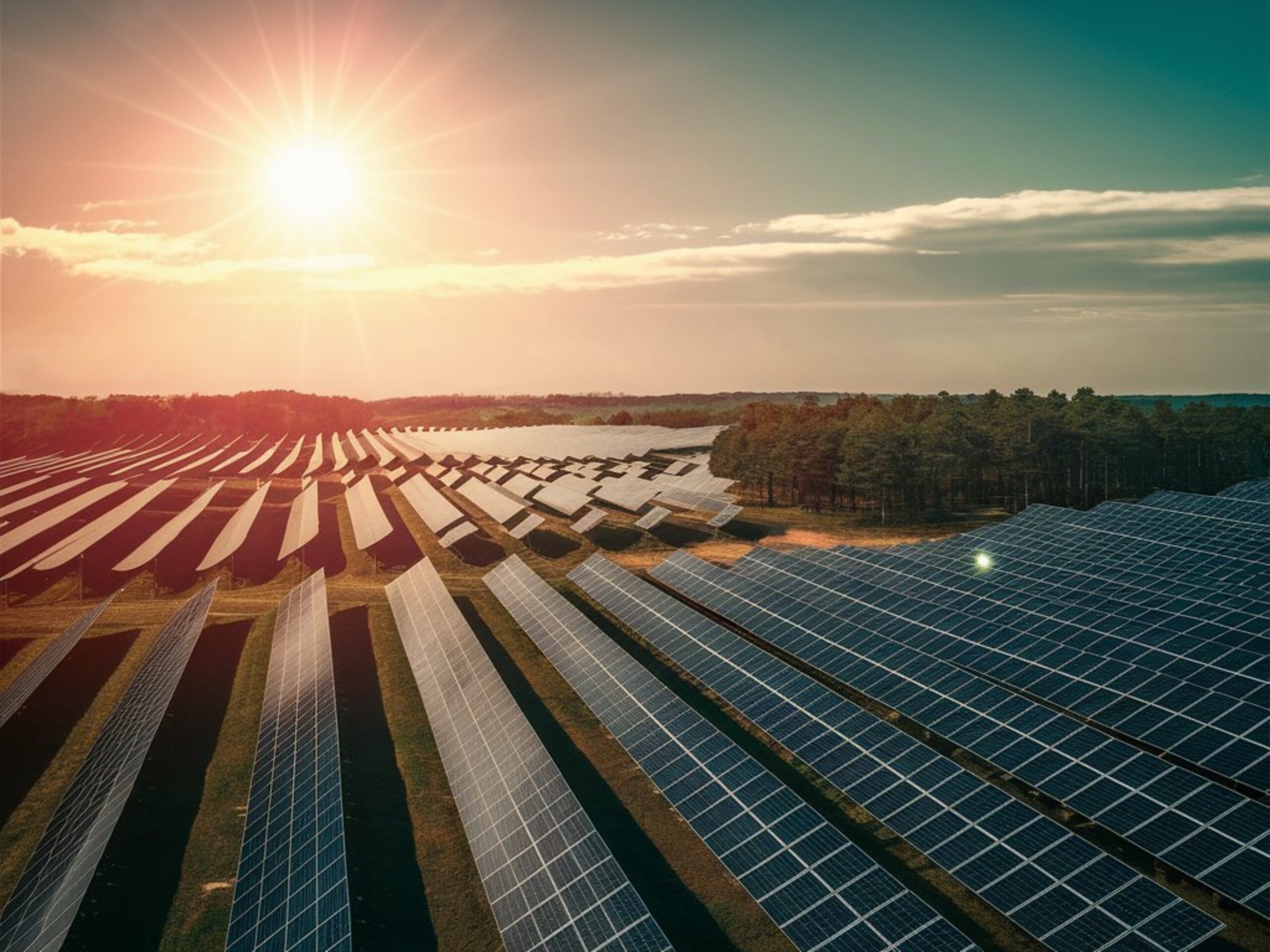 Aerial view of large-scale community solar farm at golden hour